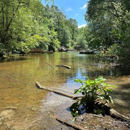 547 Stewart Rock Road