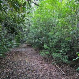 Lot 2 Pine Ridge Road