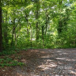 99999 Buffalo Trail