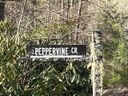 0000 Peppervine Circle sold home in Rosman, SC