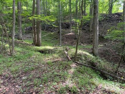 0 Cane Mountain Lane