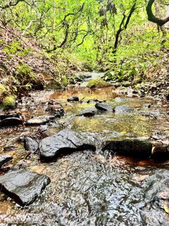 0 Travelers Rest Lane sold home in Grassy Knob Acres, Rutherfordton, NC