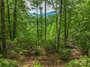 72 Smokey Ridge Trail sold home in Arden, SC