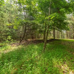 Lot 46 Black Forest Drive