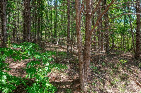 Lot 12 Meadow Crossing Drive active home in Westbrook Acres, Rutherfordton, NC