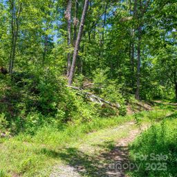Lot 221 Plantation Drive