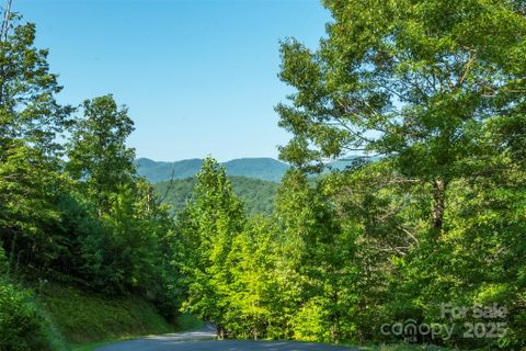 230 White Rapid Road active home in French Broad Crossing, Marshall, NC