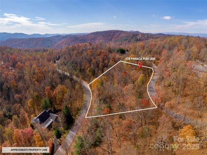 128 Pinnacle Peak Lane active home in Kenmure, Flat Rock, NC