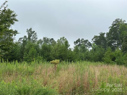 Lot 1 Celestial Drive