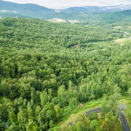 Lot 41 Summit View Parkway