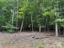00 Woodchuck Lane sold home in Marion, SC
