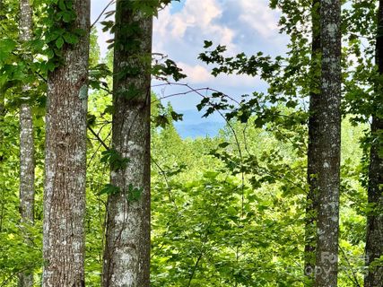 2 01 Acres Lot 971 Soaring Top Lane