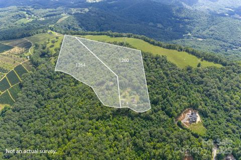 1260 Mountain Laurel Parkway active home in The Laurels, Newland, NC