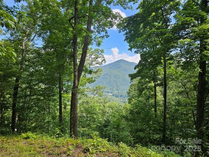 Homes in Boulder Ridge, Maggie Valley