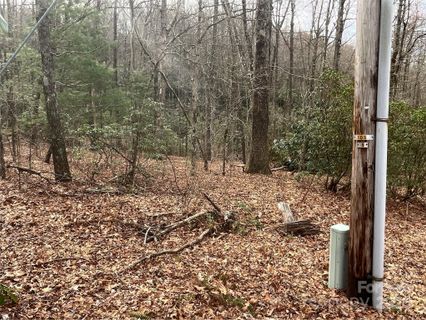 999 Panther Gap Road sold home in Ridge Haven, Brevard, NC