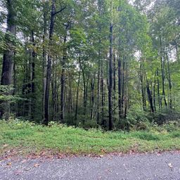 13 Fern Trail