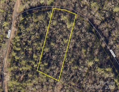 0 Johns Log None active home in Pine Mountain Lakes, Connelly Springs, NC