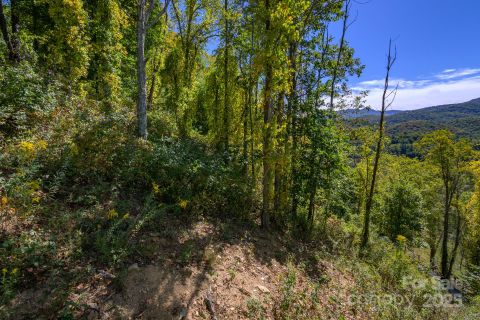 Lot 27 Silver Fox Lane