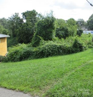 3 N Belgium Lane active home in Green Path Commons, Asheville, NC