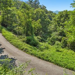 50 Slim Ridge
