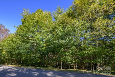 Lot 37 White Fox Lane sold home in Silver Springs Farm, Banner Elk, NC