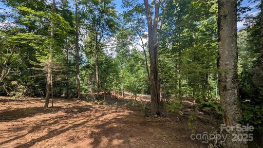 707 Apple Tree Court active home in Chestnut Walk, Waynesville, NC