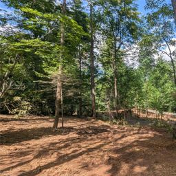 707 Apple Tree Court