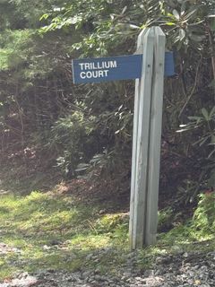 000 Trillium Court active home in Holly Forest, Sapphire, NC