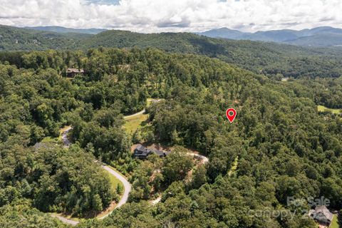 44 Giffords Lane active home in Pinchot Forest, Asheville, NC