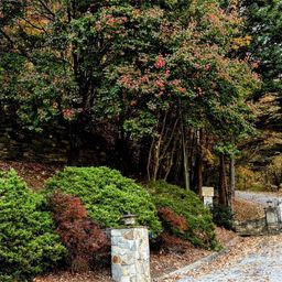 630 631 Melrose Mountain Road