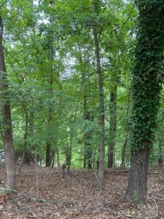 10045 Tepa Place