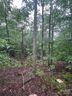 90 Adirondack Trail sold home in Nebo, SC