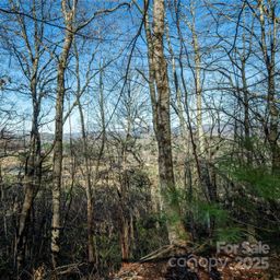 Tbd Three Mile Knob Road