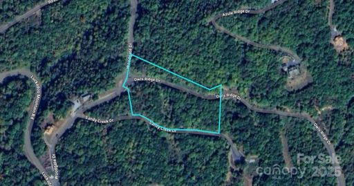 Lot 116 Owls Ridge Drive