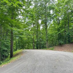 000 Ruffed Grouse Lane