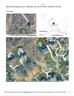 602 Sorrell Spring Court sold home in Waxhaw, SC