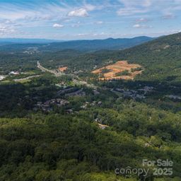 52 Castanea Mountain Drive