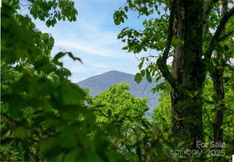 1111 Elm Tree Lane sold home in High Hickory, Swannanoa, NC