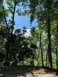 0 Winesap Boulevard active home in Apple Valley, Lake Lure, NC
