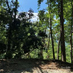 0 Winesap Boulevard