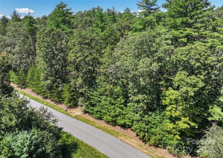 15 Mirehouse Run active home in Ramble Biltmore Forest, Asheville, NC