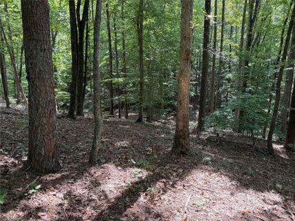 0 Mountain Brook Trail active home in Grandview Peaks, Nebo, NC