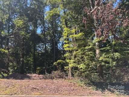 Homes in Forest Park, Hickory