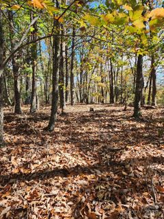 0 Mountain Lookout Drive sold home in Golden Valley Estates, Bostic, NC