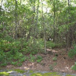 Lot 9 Galax Lane