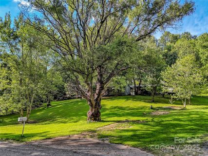 323 Jody Cove