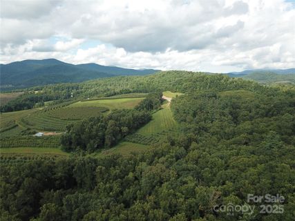 0 Pounding Mill None active home in Bearwallow Glen, Hendersonville, NC