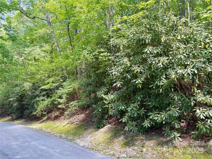 115 Black Oak Drive