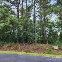 115 Scenic Ridge Drive