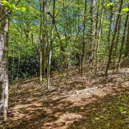 Tbd Hunting Lodge Drive